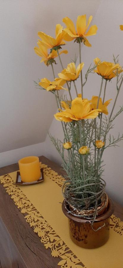 Napko Apartman Sopron Exteriör bild
